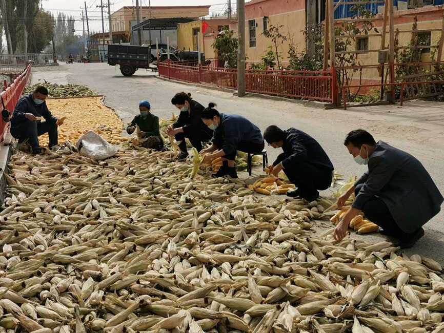 图片4.jpg